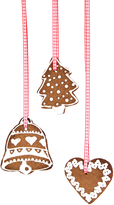 Christmas cookie ornaments